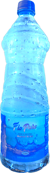 Flopure 250ml Bottle — Pure Mineral Water